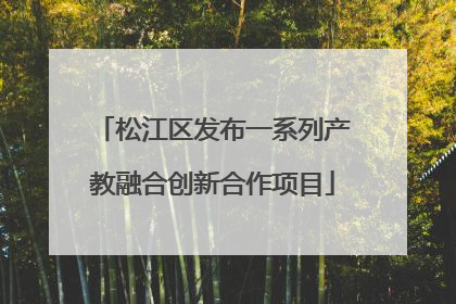 松江区发布一系列产教融合创新合作项目