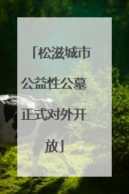 松滋城市公益性公墓正式对外开放