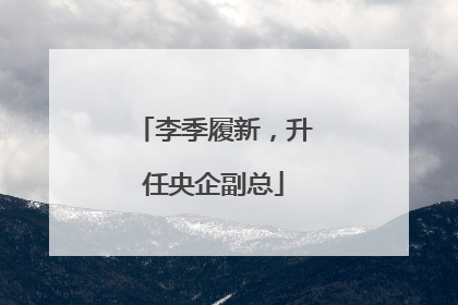 李季履新，升任央企副总