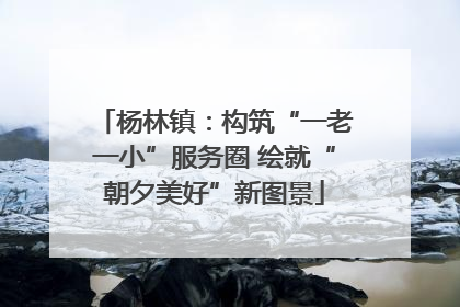 杨林镇：构筑“一老一小”服务圈 绘就“朝夕美好”新图景