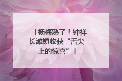 杨梅熟了！钟祥长滩镇收获“舌尖上的惊喜”