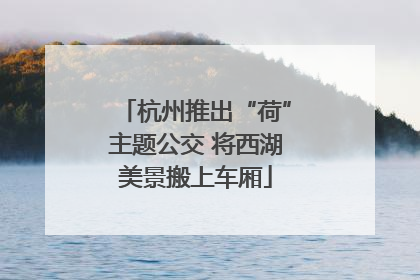 杭州推出“荷”主题公交 将西湖美景搬上车厢