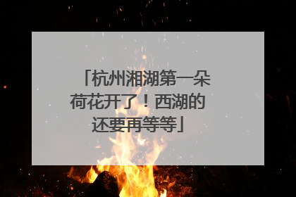 杭州湘湖第一朵荷花开了！西湖的还要再等等