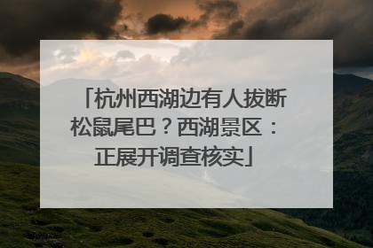 杭州西湖边有人拔断松鼠尾巴？西湖景区：正展开调查核实