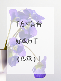 方寸舞台 好戏万千（传承）