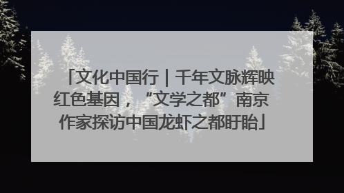 文化中国行｜千年文脉辉映红色基因，“文学之都”南京作家探访中国龙虾之都盱眙