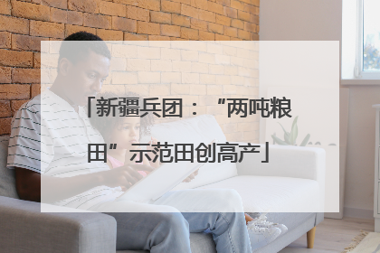 新疆兵团：“两吨粮田”示范田创高产
