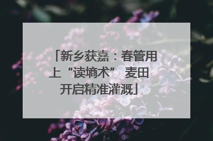 新乡获嘉：春管用上“读墒术” 麦田开启精准灌溉