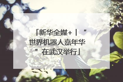 新华全媒+丨“世界机器人嘉年华”在武汉举行