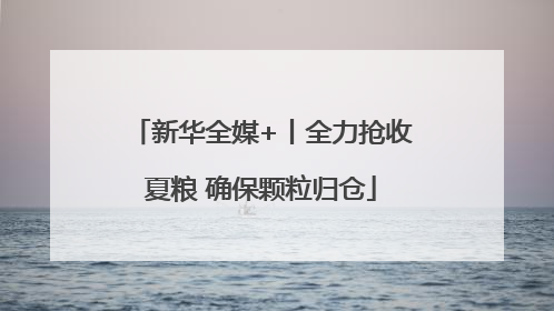 新华全媒+丨全力抢收夏粮 确保颗粒归仓