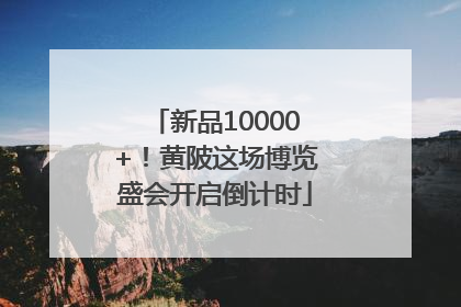 新品10000+！黄陂这场博览盛会开启倒计时