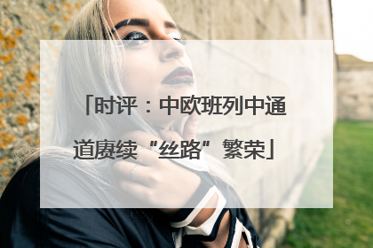 时评：中欧班列中通道赓续“丝路”繁荣