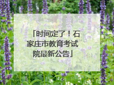时间定了！石家庄市教育考试院最新公告