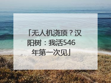 无人机浇顶？汉阳树：我活546年第一次见