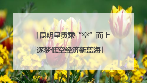 昆明呈贡乘“空”而上 逐梦低空经济新蓝海