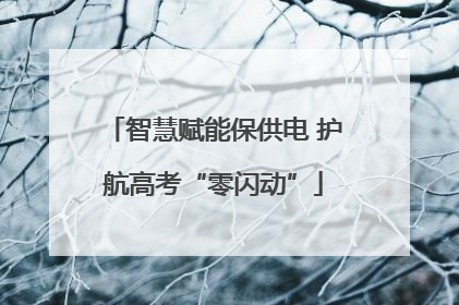 智慧赋能保供电 护航高考“零闪动”