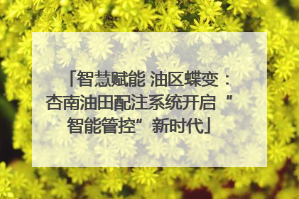 智慧赋能 油区蝶变：杏南油田配注系统开启“智能管控”新时代