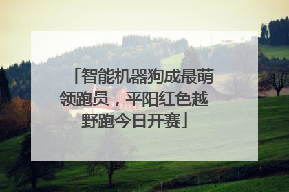 智能机器狗成最萌领跑员，平阳红色越野跑今日开赛
