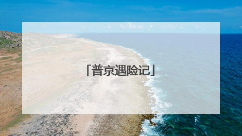 普京遇险记