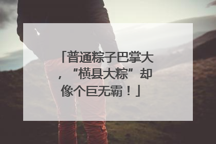 普通粽子巴掌大，“横县大粽”却像个巨无霸！