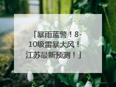 暴雨蓝警！8-10级雷暴大风！江苏最新预测！