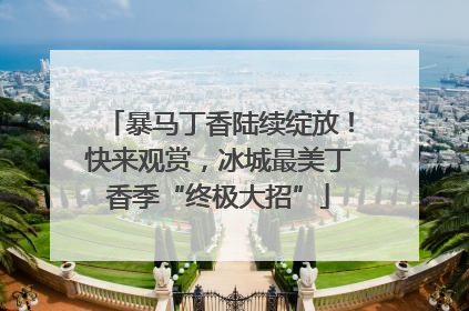 暴马丁香陆续绽放！快来观赏，冰城最美丁香季“终极大招”