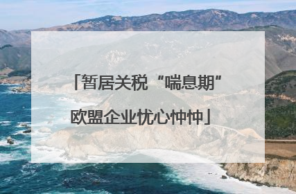 暂居关税“喘息期” 欧盟企业忧心忡忡