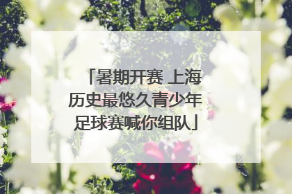 暑期开赛 上海历史最悠久青少年足球赛喊你组队