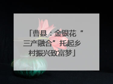 曹县：金银花“三产融合”托起乡村振兴致富梦