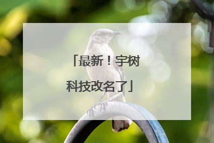 最新！宇树科技改名了