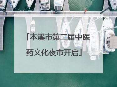 本溪市第二届中医药文化夜市开启