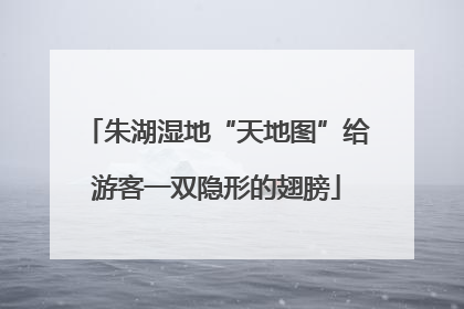 朱湖湿地“天地图”给游客一双隐形的翅膀