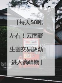 每天50吨左右！云南野生菌交易逐渐进入高峰期
