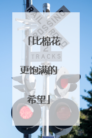 比棉花更饱满的希望