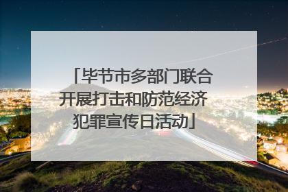 毕节市多部门联合开展打击和防范经济犯罪宣传日活动