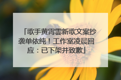 歌手黄霄雲新歌文案抄袭单依纯！工作室凌晨回应：已下架并致歉