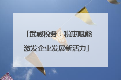 武威税务：税惠赋能 激发企业发展新活力