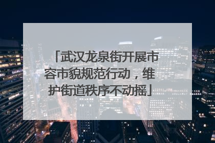 武汉龙泉街开展市容市貌规范行动，维护街道秩序不动摇