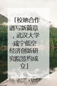 校地合作谱写新篇章，武汉大学·咸宁低空经济创新研究院签约成立