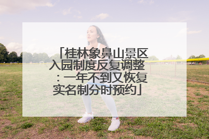 桂林象鼻山景区入园制度反复调整：一年不到又恢复实名制分时预约