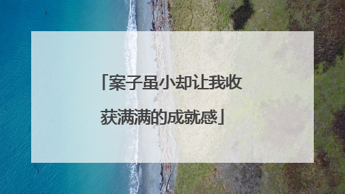 案子虽小却让我收获满满的成就感