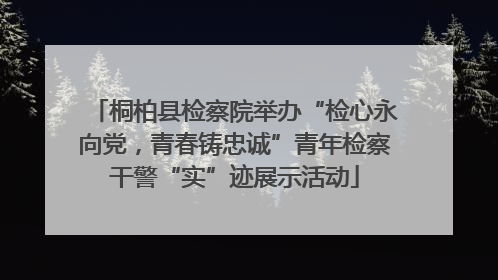桐柏县检察院举办“检心永向党，青春铸忠诚”青年检察干警“实”迹展示活动