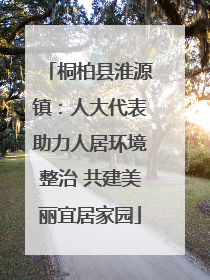 桐柏县淮源镇：人大代表助力人居环境整治 共建美丽宜居家园