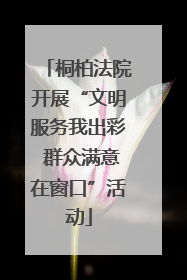 桐柏法院开展“文明服务我出彩 群众满意在窗口”活动