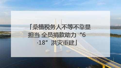 桑植税务人不等不靠显担当 全员捐款助力“6·18”洪灾重建
