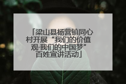 梁山县杨营镇同心村开展“我们的价值观·我们的中国梦”百姓宣讲活动