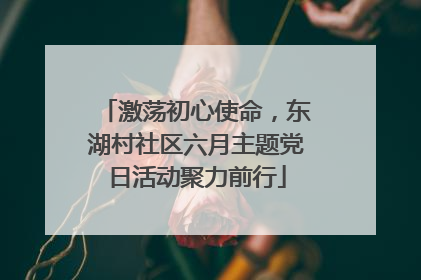 激荡初心使命，东湖村社区六月主题党日活动聚力前行