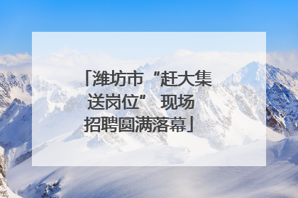 潍坊市“赶大集 送岗位” 现场招聘圆满落幕