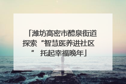 潍坊高密市醴泉街道探索“智慧医养进社区” 托起幸福晚年