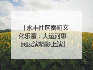 永丰社区奏响文化乐章：大运河惠民展演精彩上演